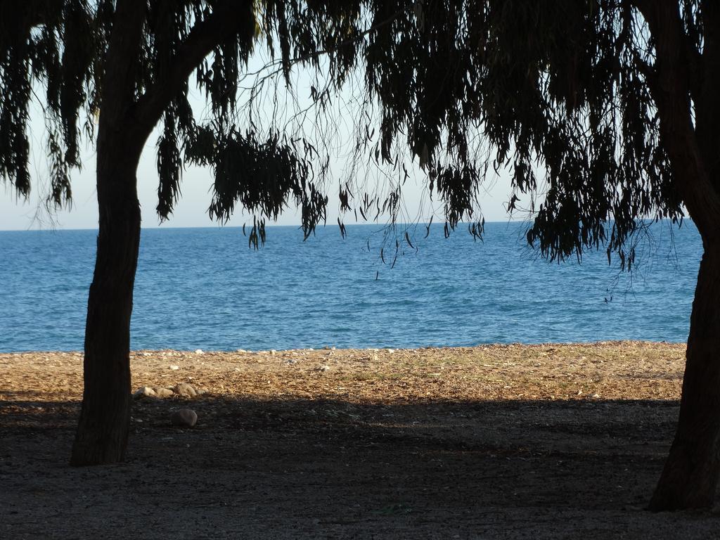 Camping El Torres บิยาโฮโยซา ภายนอก รูปภาพ